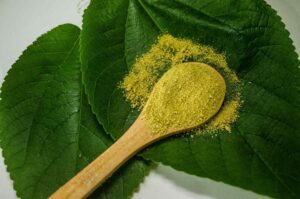 Read more about the article The First Choice Kratom Guide for Beginners
